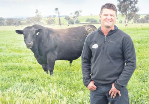 Tim Scott of Table Top Angus said Rivalea’s beef feed products have helped them achieve the results they were aiming for.